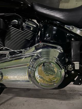 Harley-Davidson Sport Glide 107 (2019)