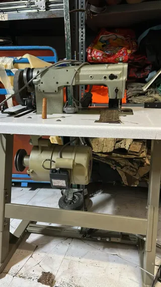 Máquina de coser profesional