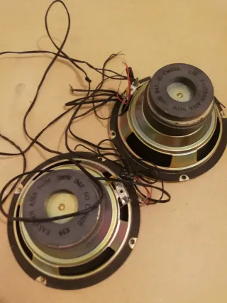 2 altavoces Eastern Asia 100W