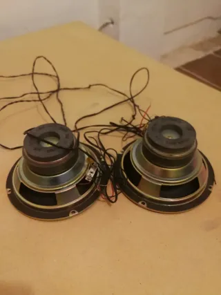 2 altavoces Eastern Asia 100W