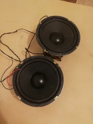 2 altavoces Eastern Asia 100W