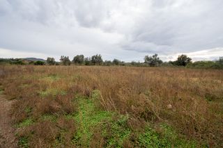 Finca rústica con construcciones agrícolas