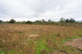 Finca rústica con construcciones agrícolas