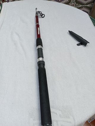 Caña y carrete