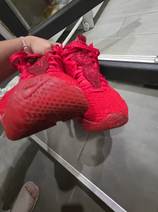 Zapatillas Nike LeBron Rojas