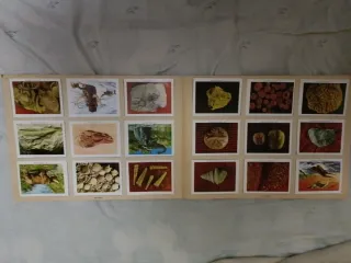 Álbum GEO-CIENCIAS Completo