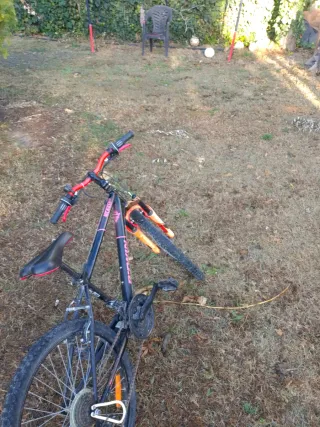 Bicicleta Montaña 24