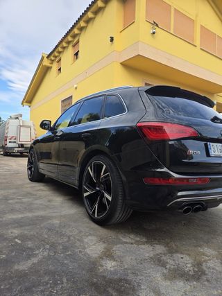 Audi SQ5 2013