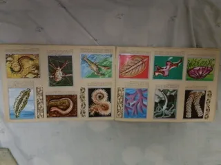 Álbum Zoología y Botánica Completo