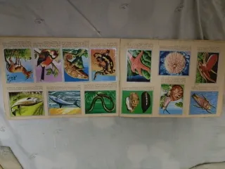 Álbum Zoología y Botánica Completo