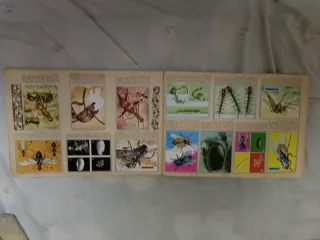 Álbum Zoología y Botánica Completo