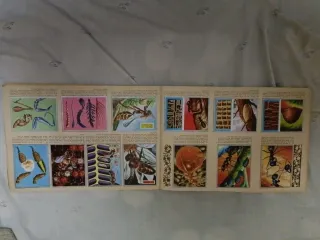 Álbum Zoología y Botánica Completo