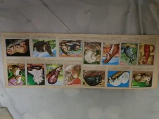 Álbum Zoología y Botánica Completo