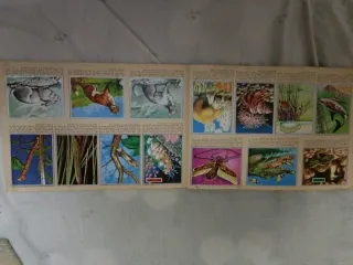 Álbum Zoología y Botánica Completo