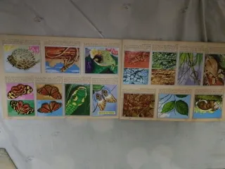 Álbum Zoología y Botánica Completo