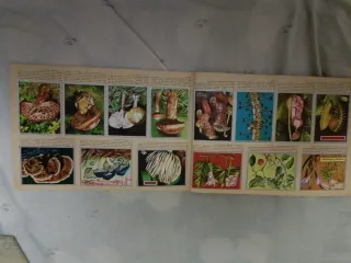 Álbum Zoología y Botánica Completo