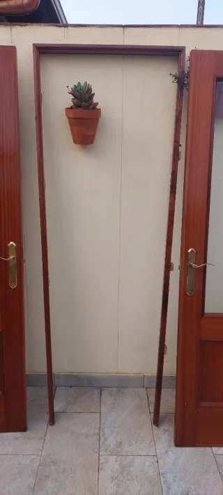 Puertas macizas Sapelly