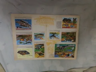 Álbum cromos Técnica y Acción completo