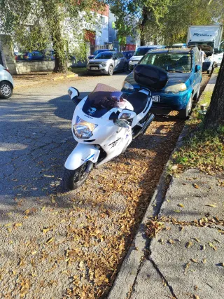 Honda CBR 1100 XX - 2004