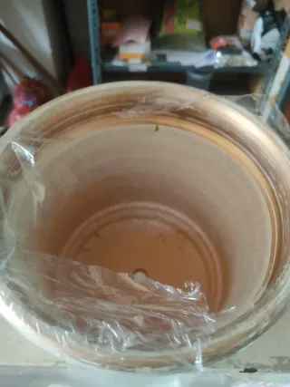 Maceta pequeña dorada y blanca