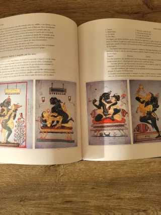 Kama Sutra (Clasicos de la Literatura Erotica O...