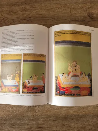 Kama Sutra (Clasicos de la Literatura Erotica O...