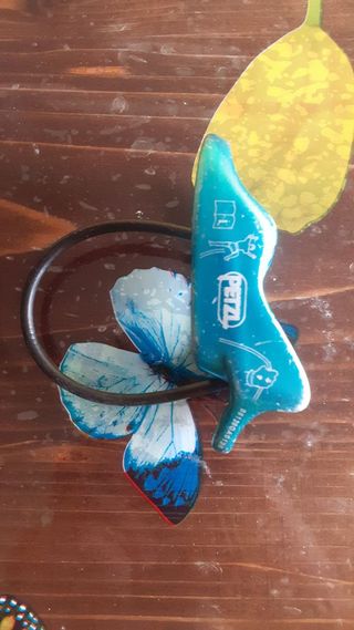 Assicuratori Reverso Arrampicata