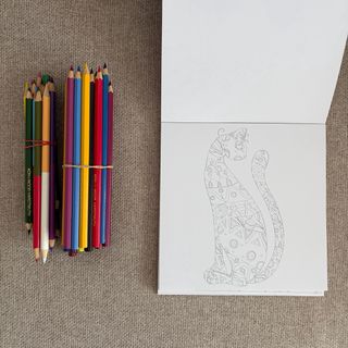 Vive Le Color! Cats (Adult Coloring Book) Color...