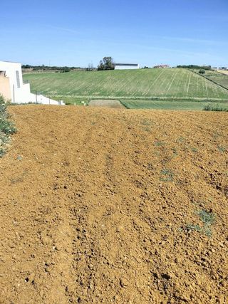 Terreno en venta en Conil en Conil de la Frontera