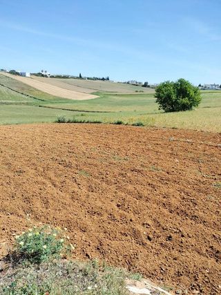 Terreno en venta en Conil en Conil de la Frontera