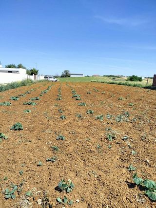 Terreno en venta en Conil en Conil de la Frontera