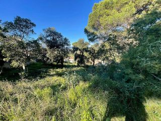 Terreno en venta en Mas Mora - Sant Daniel en Tordera