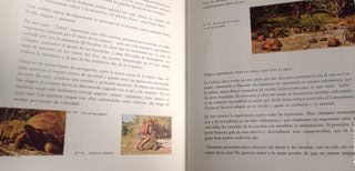 Álbum COMPLETO Misterios Profundidades Submarinas