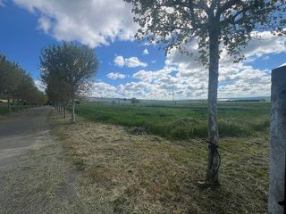 Chalet en venta en Padiernos