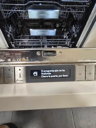 Lavavajillas Gaggenau Averiado