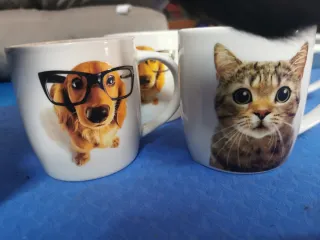 Tazas de cerámica con perros y gatos