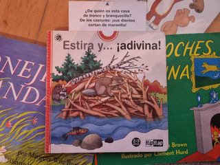 Lote de libros a partir de 2 años