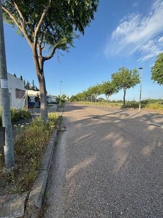 Terreno en venta en Almensilla