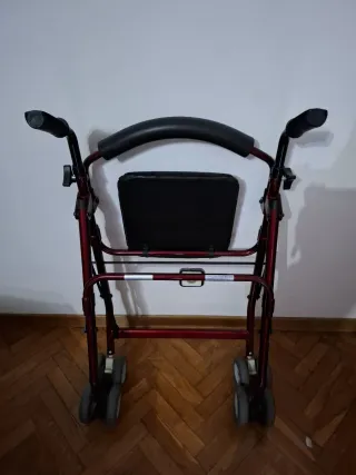 Silla de paseo para adultos