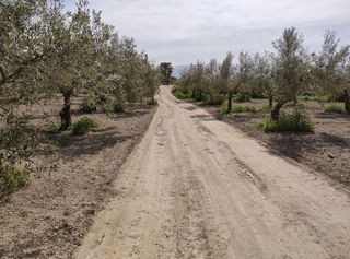 Terreno en venta en Cúllar Vega