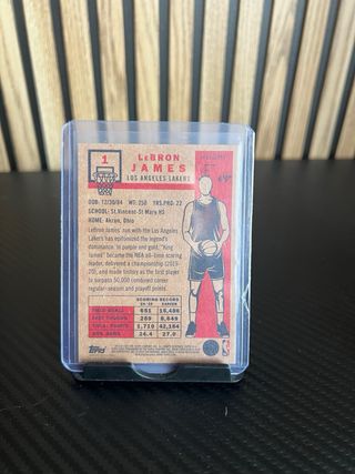 Lebron James Living Set