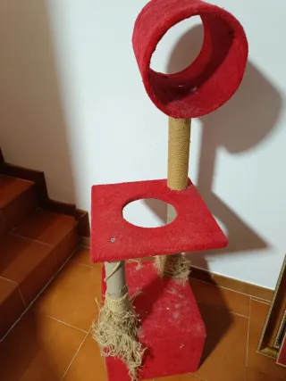 Tiragraffi rosso per gatti