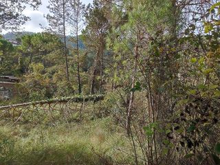 Terreno en venta en Castellnou de Bages