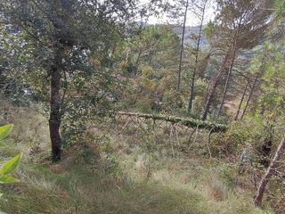 Terreno en venta en Castellnou de Bages