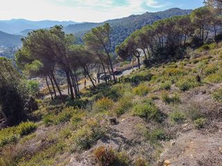 Terreno en venta en Dosrius