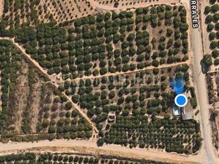 Chalet en venta en Albatera