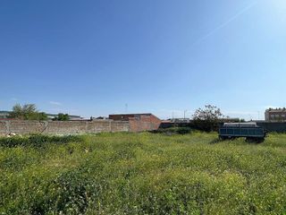 Terreno en venta en Corral de Almaguer