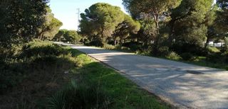 Terreno en venta en Roche en Conil de la Frontera