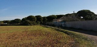 Terreno en venta en Roche en Conil de la Frontera