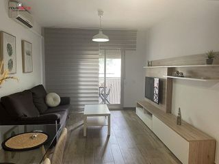 Piso en alquiler en Alcalde Felipe Mallol en San Vicente del Raspeig/Sant Vicent del Raspeig